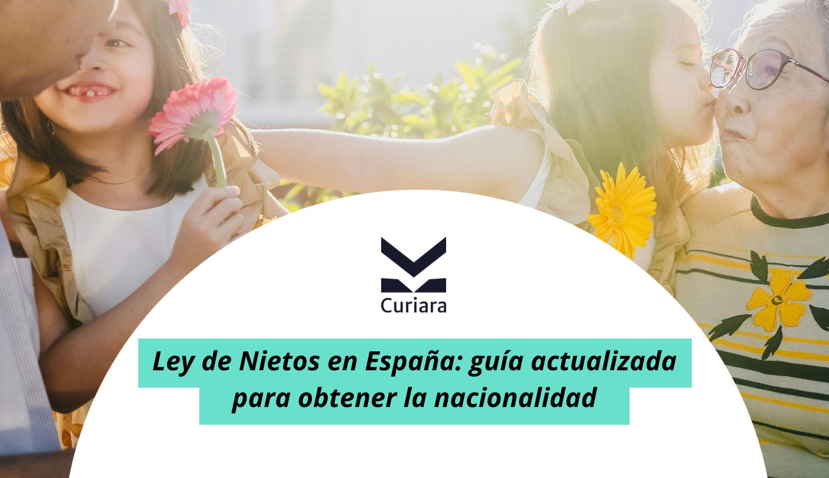 ley de nietos en españa