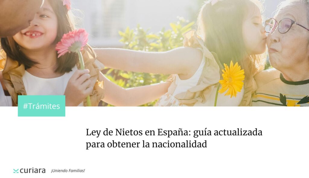 ley de nietos en españa