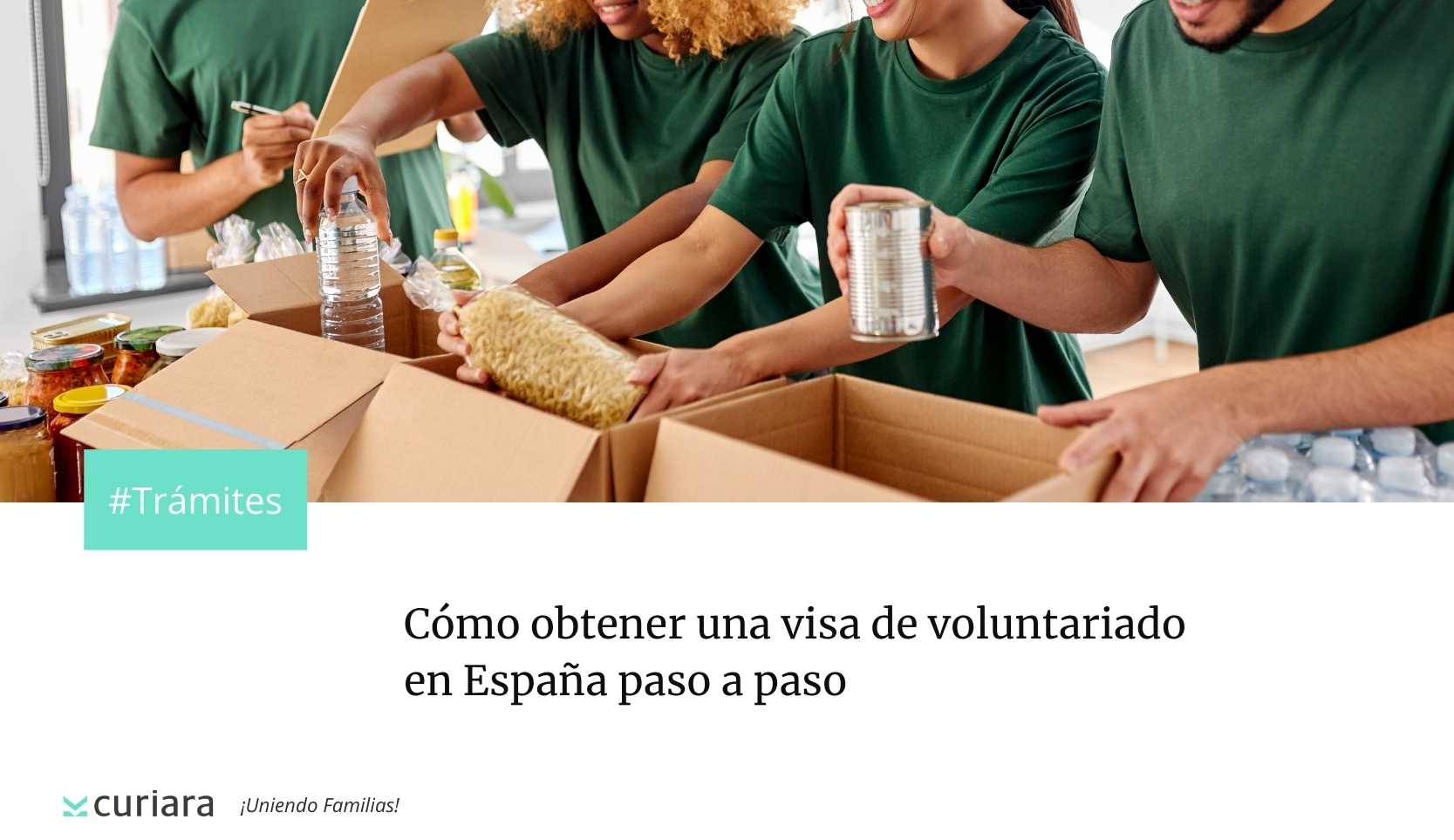 visa de voluntariado españa