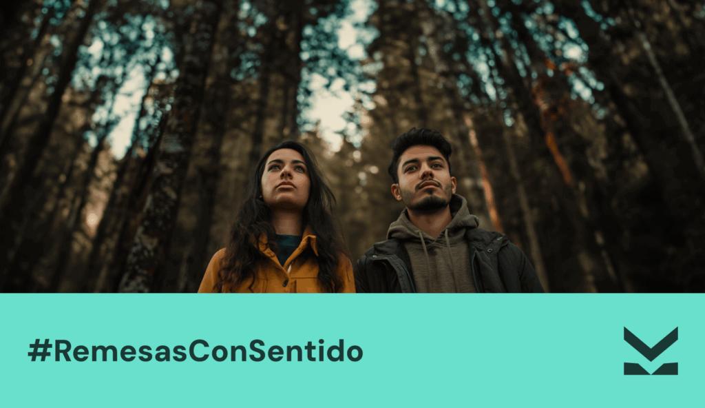 transferencia internacional