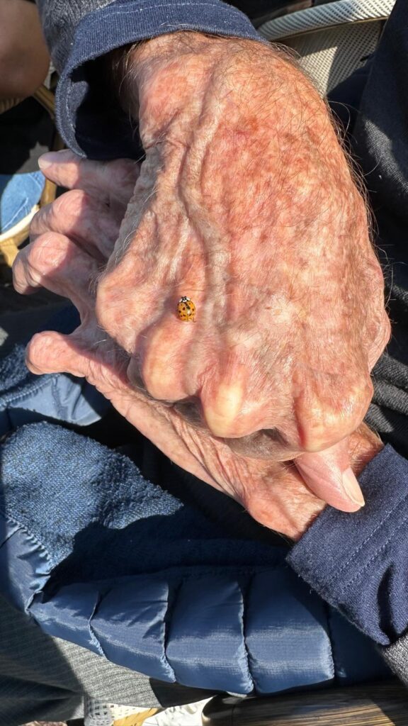 Konrad testimonio Curiara