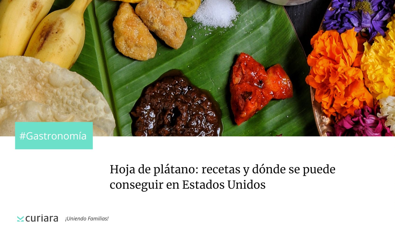 Hoja de platano recetas y donde se puede conseguir en Estados Unidos